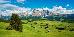 Alpe de Siusi dans les Dolomites avec le Sassolungo en arrière-plan