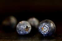 Blaue Beeren