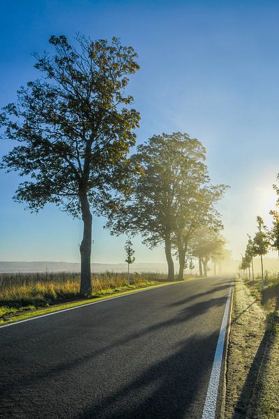 Landstraße in Brandenburg bei Sonnenaufgang I von SPUTNIKeins fotografie
