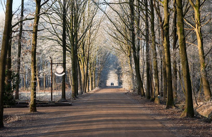 couple walking in winter foest van ChrisWillemsen