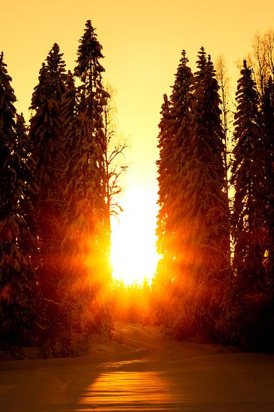 Zonsondergang van Theo Kamans