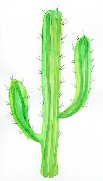 Cactus van Esther  van den Dool
