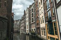 Canal side buildings in Amsterdam