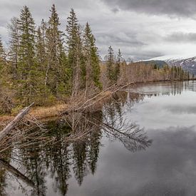 Helgeland Norway by Cor de Bruijn Photography