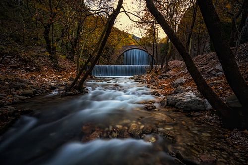 Autumn falls