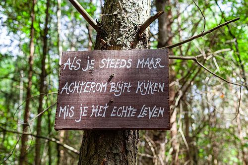 If you keep looking back, you'll miss out on real life.