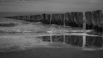 reflections ... van Eric Buyse