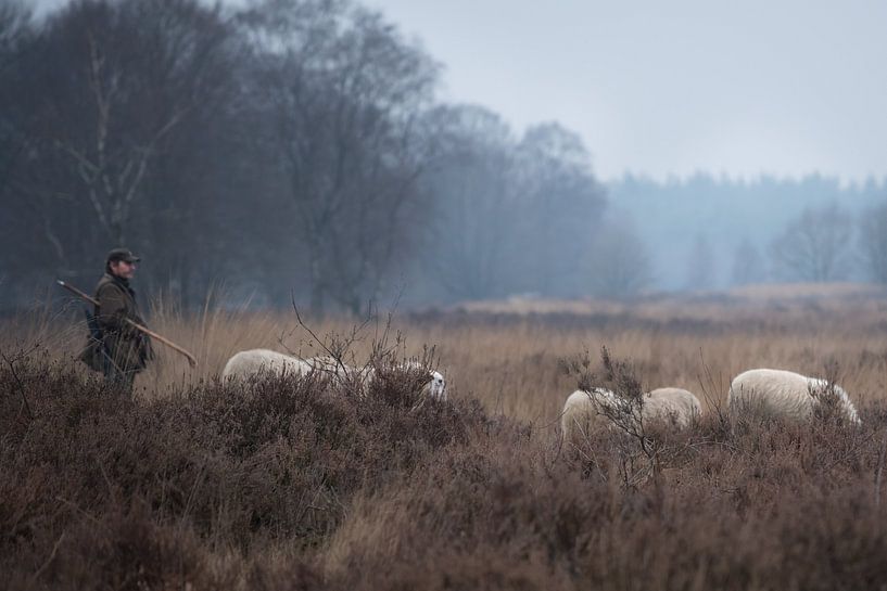 Schaapherder met kudde 01 by Cilia Brandts