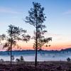 Morgennebel bei Het Leesten von Joop Gerretse