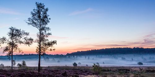 Brume matinale à Het Leesten