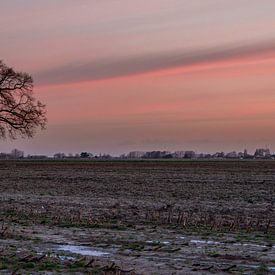 Trostloser Baum von Evy De Wit