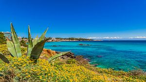Espagne Majorque, belle côte méditerranéenne de Cala Ratjada sur Alex Winter