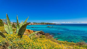 Spanje Mallorca, prachtige mediterrane zeekust van Cala Ratjada van Alex Winter