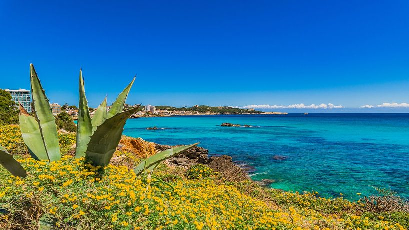 Spanien Mallorca, schöne Mittelmeerküste von Cala Ratjada von Alex Winter