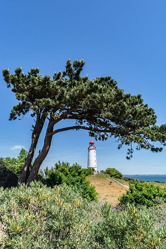 Vuurtoren Am Dornbusch, eiland Hiddensee