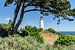 Leuchtturm Am Dornbusch, Insel Hiddensee von GH Foto & Artdesign