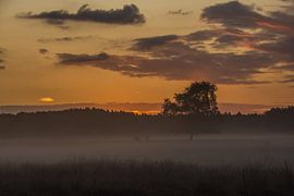 Zonsopkomst van Carla Eekels