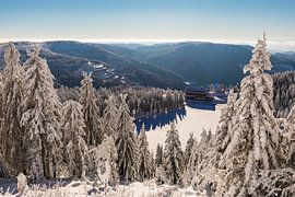 Mummelsee mit dem Berghotel im Schwarzwald von Werner Dieterich
