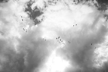 Fly Away - Wolken van Maurice Weststrate