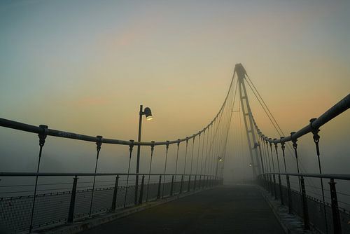 Herrenkrugsteg bij Magdeburg in de mist