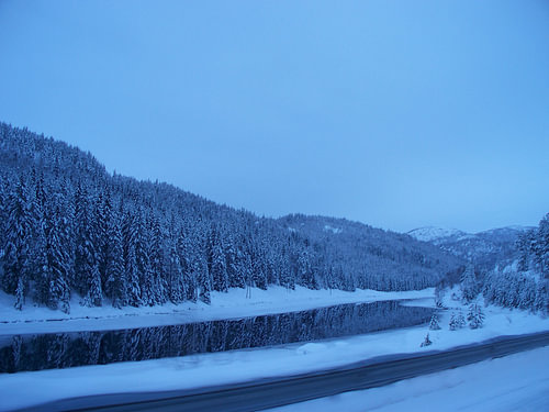 Winter 