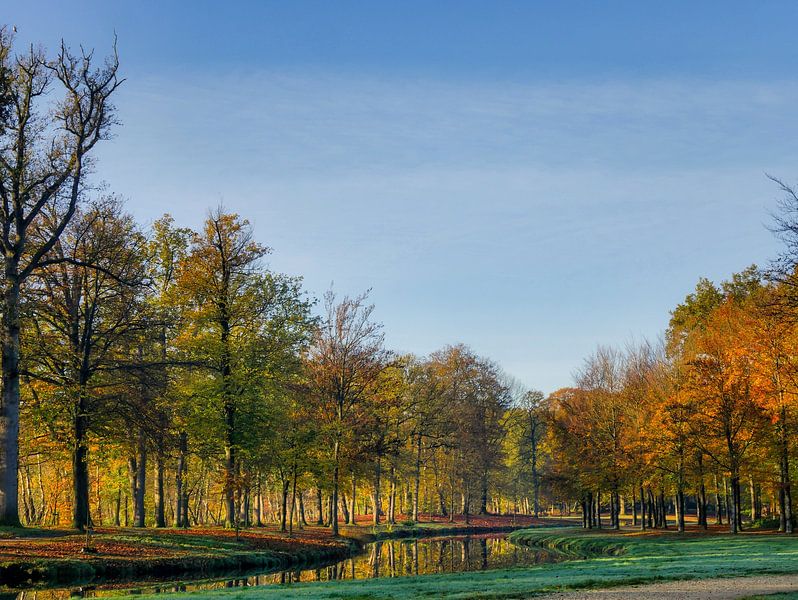 Symphonie d'automne par Odette Kleeblatt