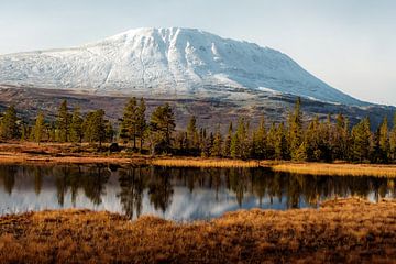 Gaustatoppen in Noorwegen, overgang van herfst naar winter van Melissa Peltenburg