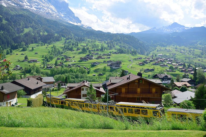 Een trein die passeert van Frank's Awesome Travels