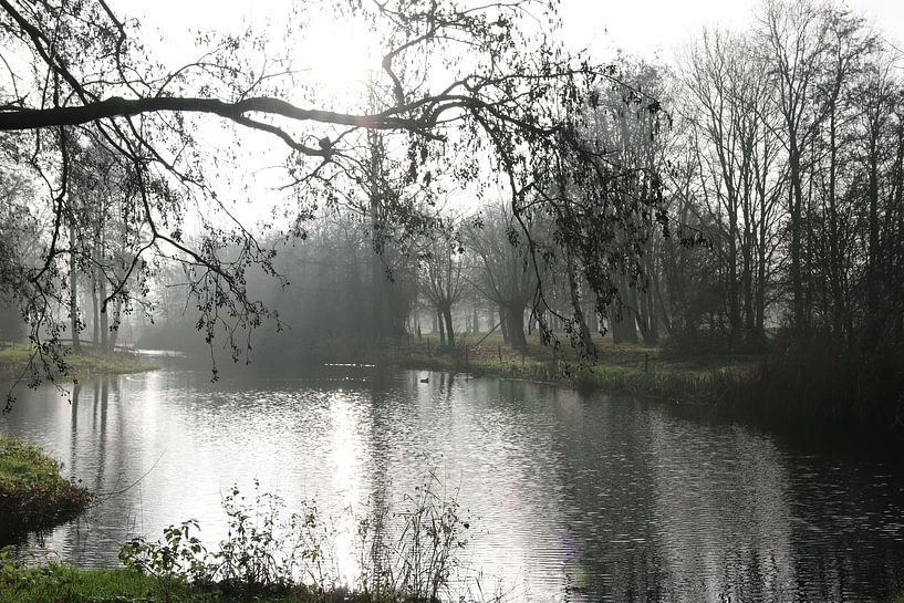 The sun breaks through the fog by Pim van der Horst