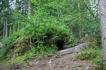 Hide out in the woods