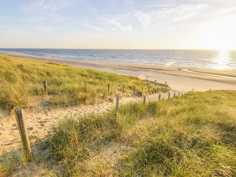 Strandleven! van Dirk van Egmond