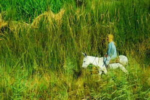 Bauer auf einem Esel im Feld  im Nil Delta in Ägypten