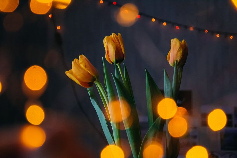 Bokeh Art by Hello Pompoyo