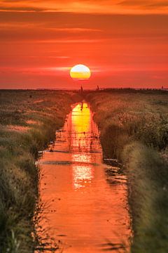 Sonnenuntergang über einem Graben im Noorderleeg von Harrie Muis
