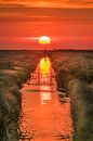 Zonsondergang boven een slootje in het Noorderleeg van Harrie Muis thumbnail