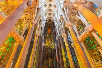 The interior of Sagrada Familia, the cathedral designed by Gaudi