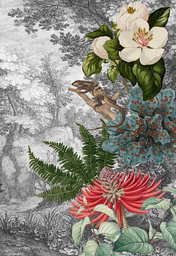 There's an Iguana in the Forest