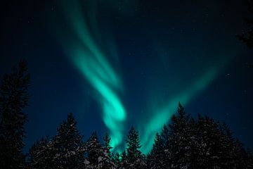 Aurora Finnland von Wanderlier Photography