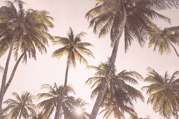 Blozende palmbomen van Kathrin Pienaar