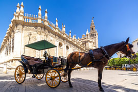 Horse and carriage in front of Seville Cathedral by Easycopters