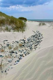 Ein Weg, den der Wind zeichnete von Theodor Decker