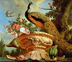 Ein Pfau auf einer Zier-Urne, Melchior d'Hondecoeter von Bridgeman Masters Miniaturansicht