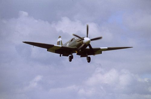 Curtis P40 "Warhawk"