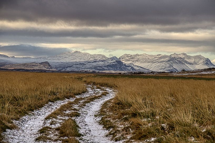 Country road in Iceland by peterheinspictures