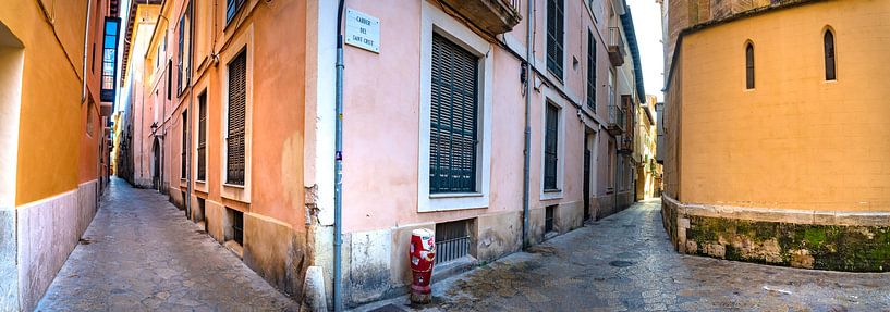 Panorama-Stadtansicht der engen Gassen in der Altstadt von Palma de Mallorca, Spanien von Alex Winter