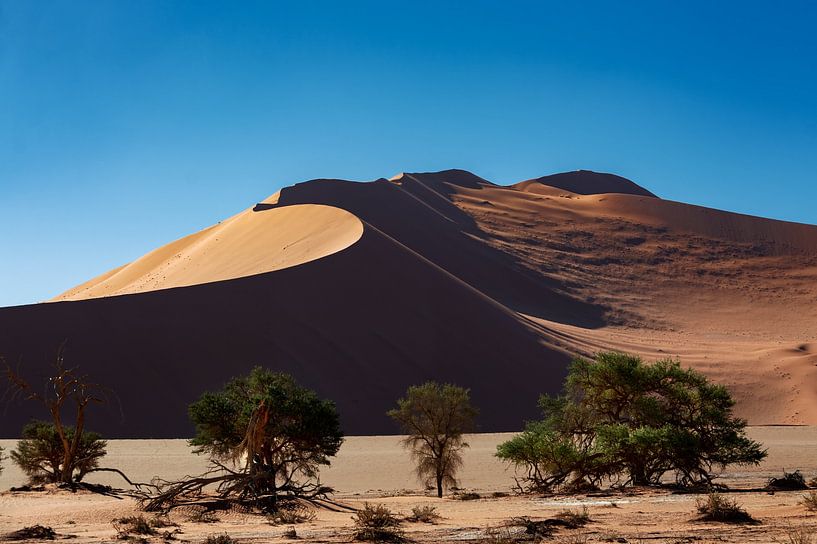 Dunes by Alex Neumayer