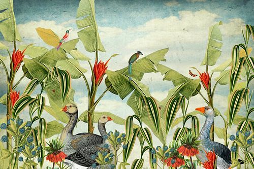 Botanique avec oies, oiseaux tropicaux et fleurs