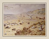 Schoolplate M.A. Koekkoek - "At the beach"