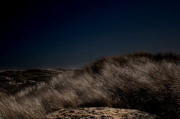 Mystery of the dunes series 2. of 4 van Foto Studio Lyn Labie