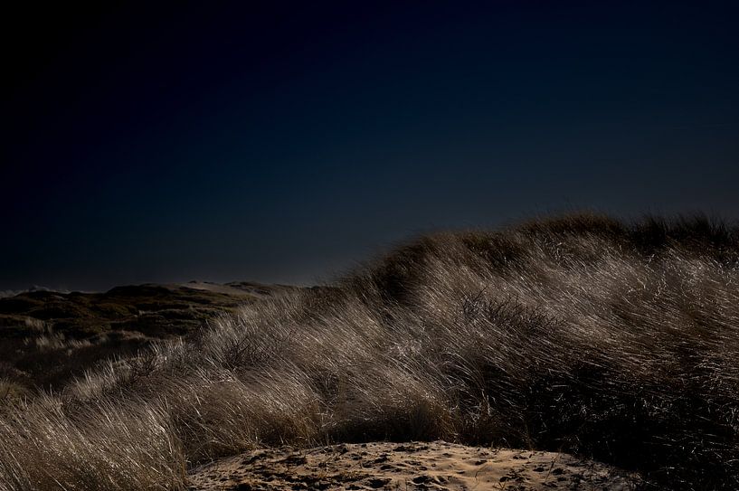 Ode to the Dunes quadrangle 2.4 by Foto Studio Labie